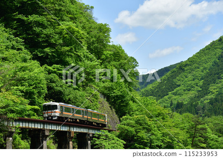 火車沿著青山綠水行駛 115233953