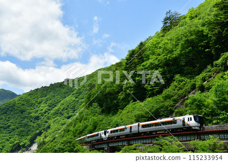 The HC85 series express train "Hida" runs along the green mountains The HC85 series express train "Hida" runs along the green mountains 115233954