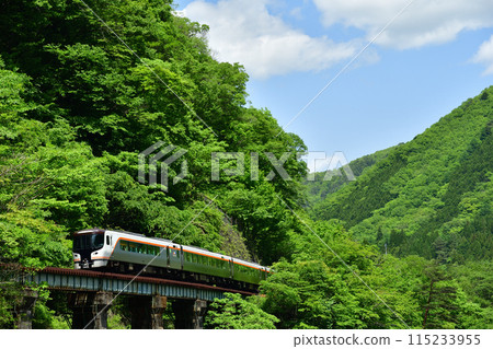 HC85系列特快「飛驒號」沿著清新的青山行駛 115233955