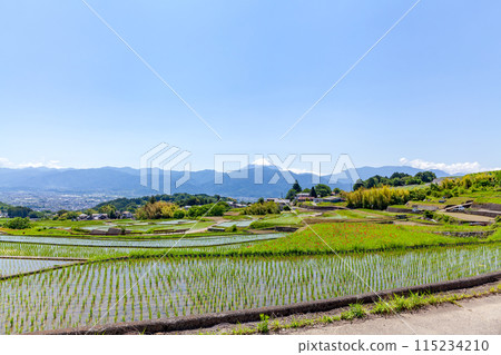 山梨縣南阿爾卑斯市中野的梯田[與富士山] 115234210