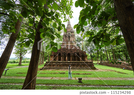 Wat Pa Sak is a Buddhist temple in thailand Wat Pa Sak is a Buddhist temple in thailand 115234298