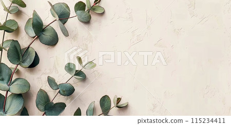 Eucalyptus branches with leaves on a light texture background 115234411
