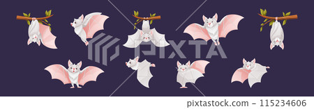 Bat Flying Creature Character Hang on Tree Branch Vector Set 115234606