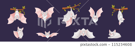 Bat Flying Creature Character Hang on Tree Branch Vector Set 115234608