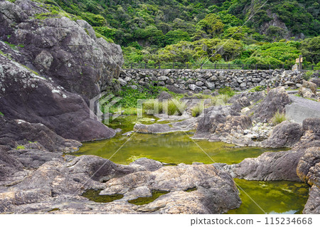 Gyokusui Pond (Cape Muroto) 115234668