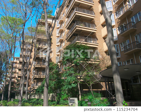 Luxury apartment in the lush Hiroo area (April 2024) 115234704
