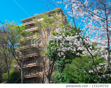 綠樹成蔭的廣尾豪華公寓(2024 年 4 月) 綠樹成蔭的廣尾豪華公寓(2024 年 4 月) 115234710