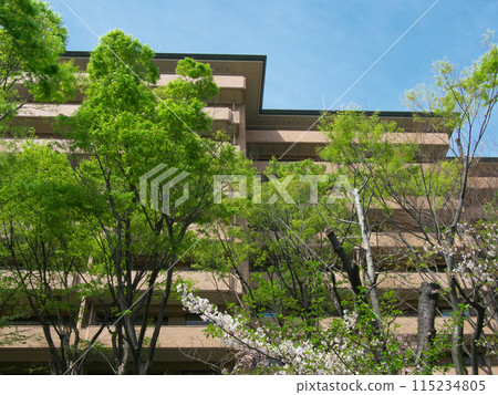 Luxury apartment in the lush Hiroo area (April 2024) 115234805