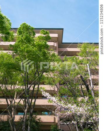 Luxury apartment in the lush Hiroo area (April 2024) 115234806