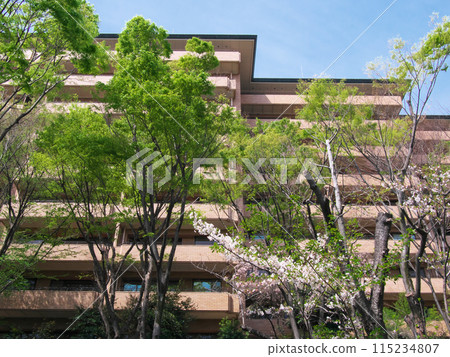 Luxury apartment in the lush Hiroo area (April 2024) 115234807