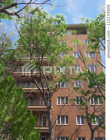 Luxury apartment in the lush Hiroo area (April 2024) 115234808