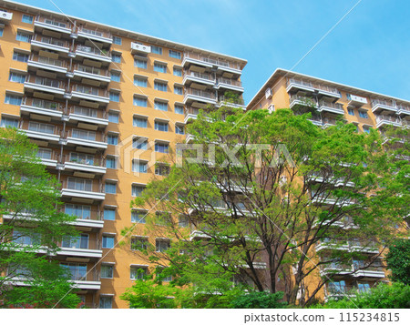 Luxury apartment in the lush Hiroo area (April 2024) 115234815
