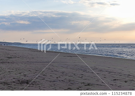 Picture of many kitesurfers on the beach of Ouddorp in Holland in the evening light 115234878