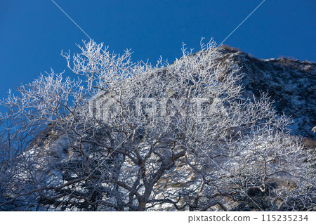Sunlit frost 115235234