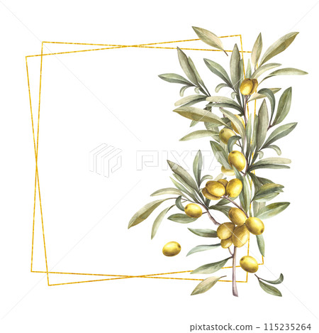 Olive tree branch gold framed. Watercolor twig with green leaves and berries. Floral template frame hand drawn illustration. Trendy clipart for cosmetic label, wedding card. Isolated white background. 115235264