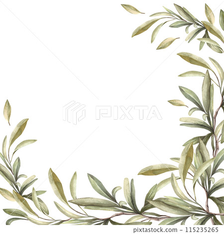 Olive tree branch frame Watercolor Mediterranean twig with green leaves. Botanical hand drawn illustration. Floral traditional clipart template for food or oil label, poster Isolated white background. 115235265