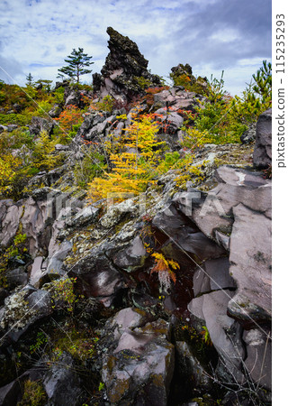 Lava rocks and autumn leaves [Onioshidashi Park] 115235293