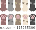 Cat paw set 115235300