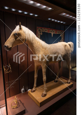 Napoleons horse Vizir - a white horse standing on top of a wooden platform, displayed at the Military Museum in Les Invalides, Paris, France. 115235330