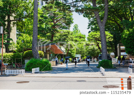 東京成城大學 東京成城大學 115235479