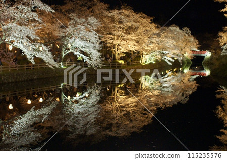 卡諾城後櫻花樹的燈光照片 115235576