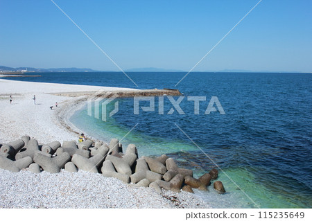 Rinku Town Sandy Beach 115235649