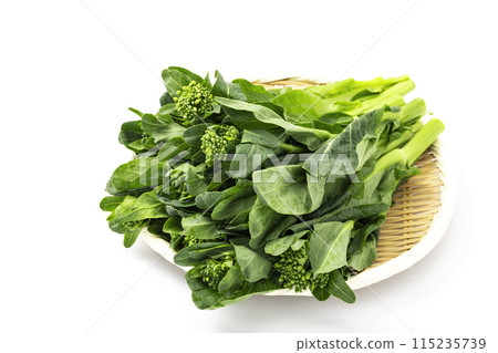 Spring vegetable rape blossoms served on a tray_white background 115235739
