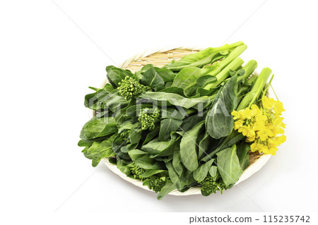 Spring vegetable rape blossoms served on a tray_white background 115235742