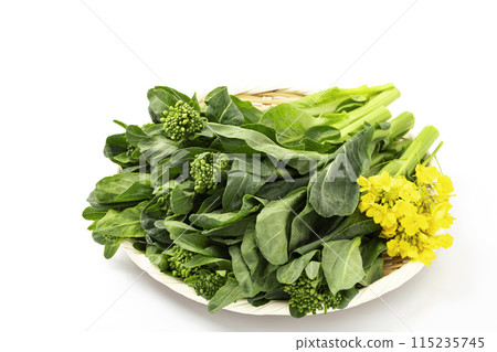 Spring vegetable rape blossoms served on a tray_white background Spring vegetable rape blossoms served on a tray_white background 115235745