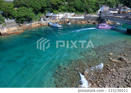 柏島 - 欣賞美麗的尾流(高知縣大月町) 柏島 - 欣賞美麗的尾流(高知縣大月町) 115236011