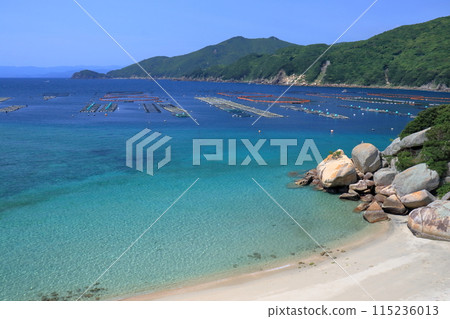 Early summer scenery of Kashiwajima Shirahama (Otsuki Town, Kochi Prefecture) Early summer scenery of Kashiwajima Shirahama (Otsuki Town, Kochi Prefecture) 115236013
