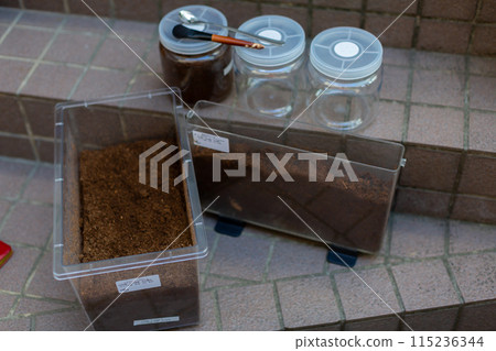 甲蟲飼養墊更換 115236344