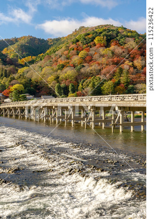 京都市右京區、佐賀天龍寺、嵐山、渡月橋、桂川、秋葉 京都市右京區、佐賀天龍寺、嵐山、渡月橋、桂川、秋葉 115236422