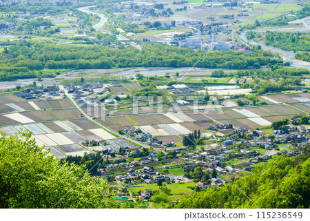 初夏的安住平【拍攝於長嶺山】 115236549