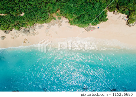 Paradise sandy beach with turquoise ocean in Bali. Aerial view 115236690