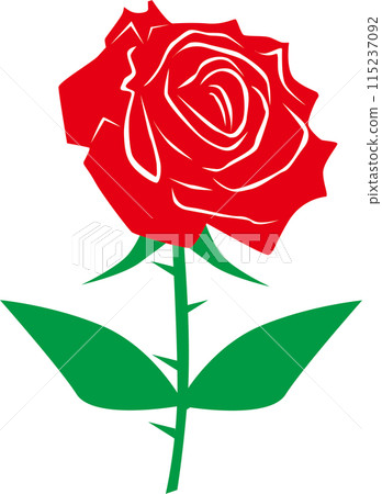 Illustration of a red rose 115237092