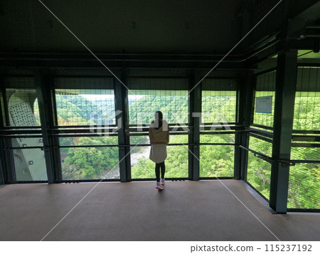 Tenryukyo Bridge Sky Walk 115237192