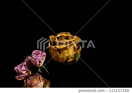 玫瑰乾花 115237389