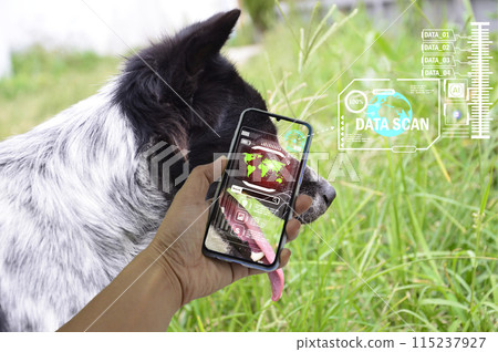 The concept of using artificial intelligence to find lost or lost pets. The concept of using artificial intelligence to find lost or lost pets. 115237927
