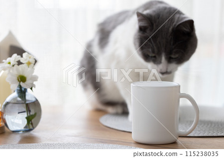 Cat sitting on the kitchen table and looking at the cup of tea with cats hair on the cup. Moulting cat. 115238035