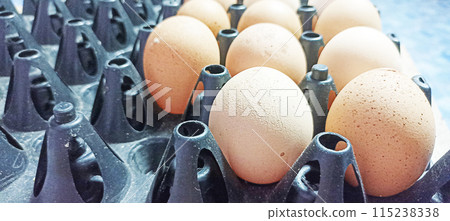 separated eggs images because notice that the skin is not beautiful separated eggs images because notice that the skin is not beautiful 115238338