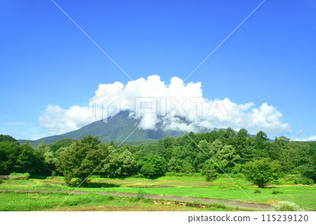 Scenery from the train window on the Shinano Railway Kita-Shinano Line from Furuma Station to Myoko-Kogen Station (Summer 2022) 115239120