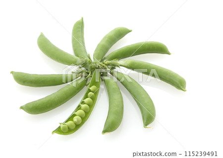 豌豆粒 豌豆粒 115239491