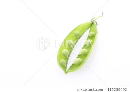 豌豆粒 115239492