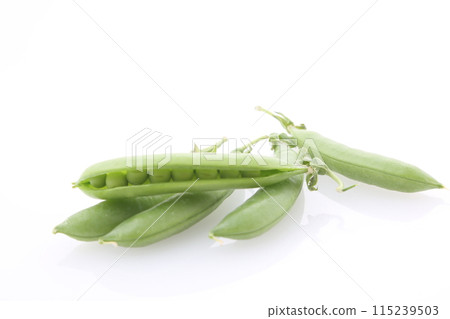 豌豆粒 115239503