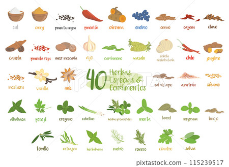 Set of 40 different culinary herbs, species and condiments in cartoon style. Spanish names. Set of 40 different culinary herbs, species and condiments in cartoon style. Spanish names. 115239517