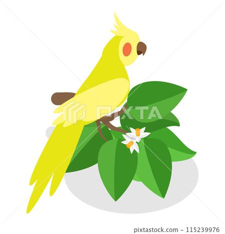 3D Isometric Flat  Set of Pirate Equipment. Item 3 115239976