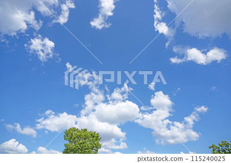 Clouds and trees in early summer 115240025
