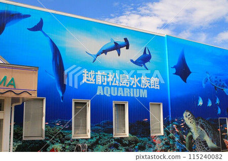 Enjoy Echizen Matsushima Aquarium with the Family 115240082