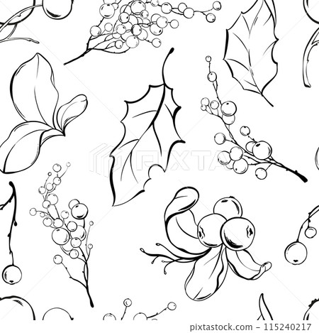 Vector Christmas seamless pattern. Mistletoe berries and ilex branch on isolated background. Sketch outline drawings of holly plants and leaves. Drawn in black ink. 115240217